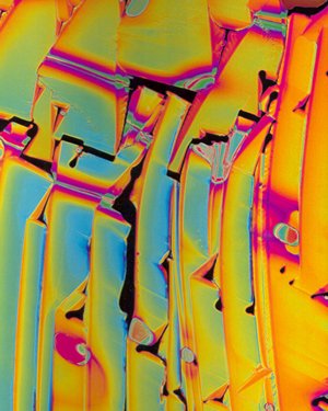 Digital Art On Canvas