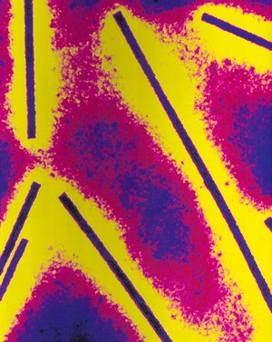 Digital Art On Canvas