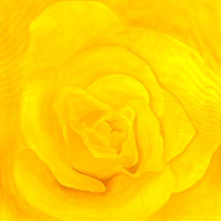 Rose-yellow